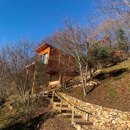 Tree House San Giorgio Гостевой дом 4*