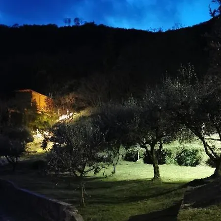 Tree House San Giorgio