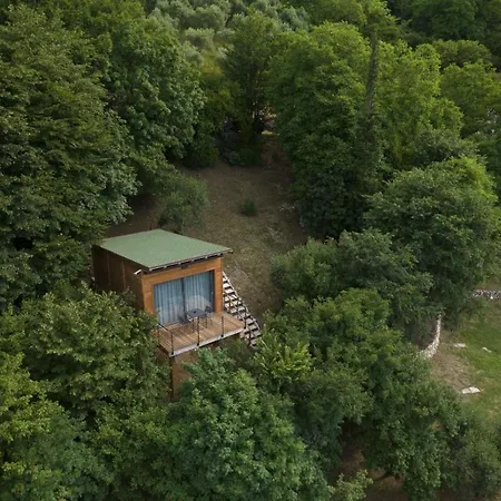 Guest house Tree House San Giorgio *