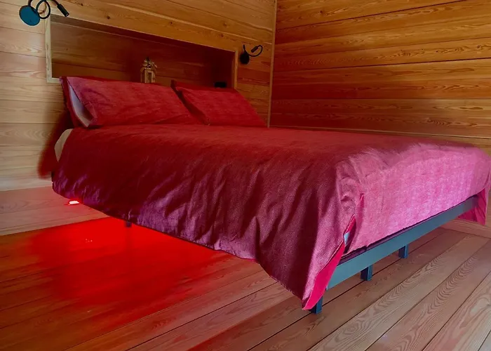 Tree House San Giorgio 招待所