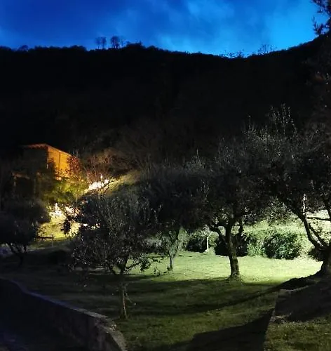 Tree House San Giorgio