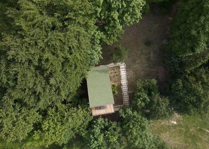 Tree House San Giorgio Affittacamere Solagna